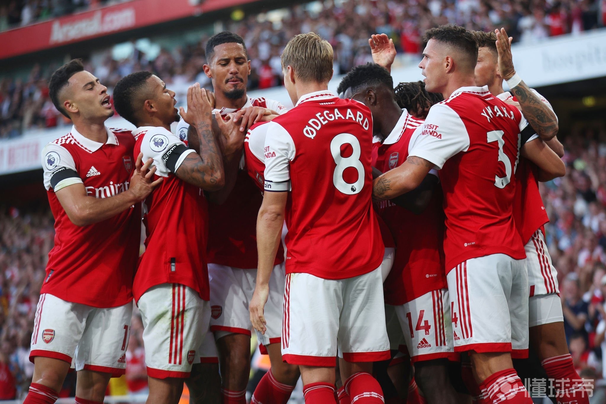 但在真正的 但在真正的